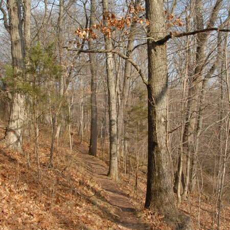 Photos Of: Six Mile Run Reservoir - 03/15/2012