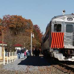 Cape May Seashore Lines