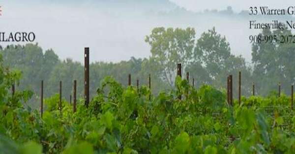 Villa Milagro Vineyards