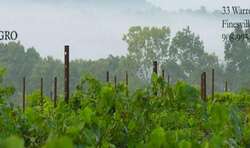 Villa Milagro Vineyards