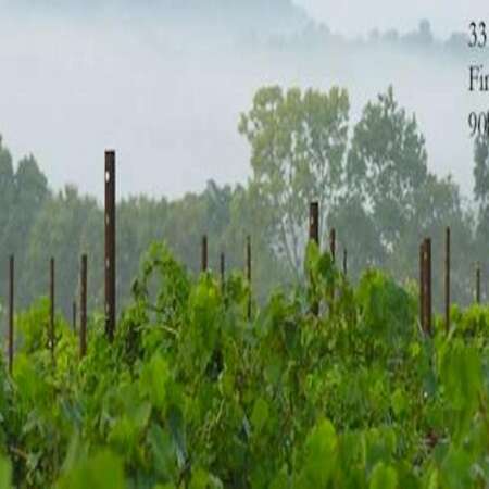 Villa Milagro Vineyards