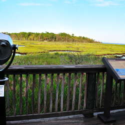 Cattus Island County Park