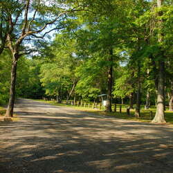 Abbott Marsh / Roebling Park -- Trails - 07/18/2013