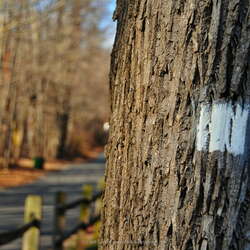A fun hike through Watchung Reservation (Jan '16) - 01/01/2016