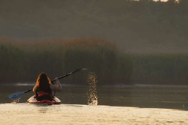 Manasquan River Wildlife Management Area