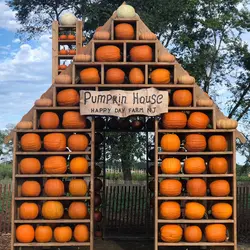 Happy Day Farm