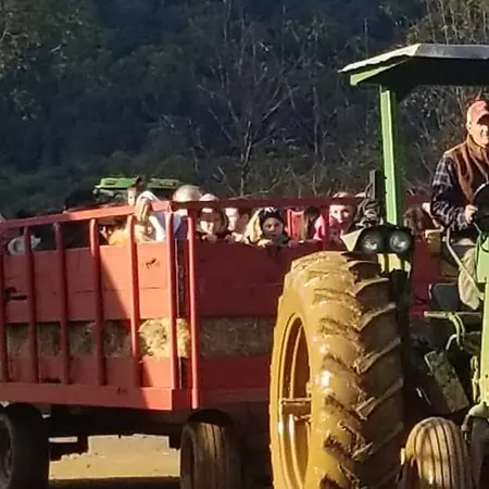 Ort Farms