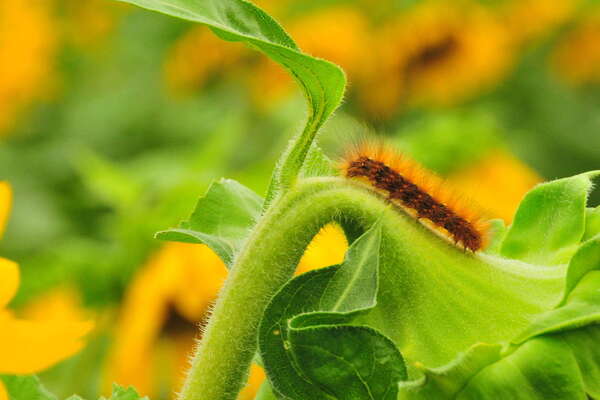 Wishing us a good trip