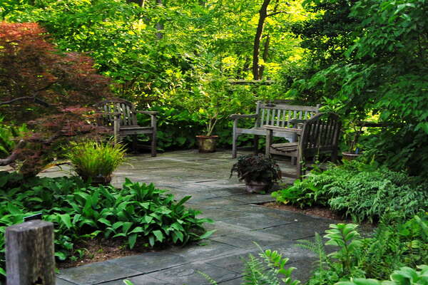 Frelinghuysen Arboretum - June 16th 2014