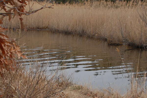 Head upstream .. but for how far?