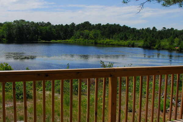 Bunker Hill Bogs Wildlife Recreation Area