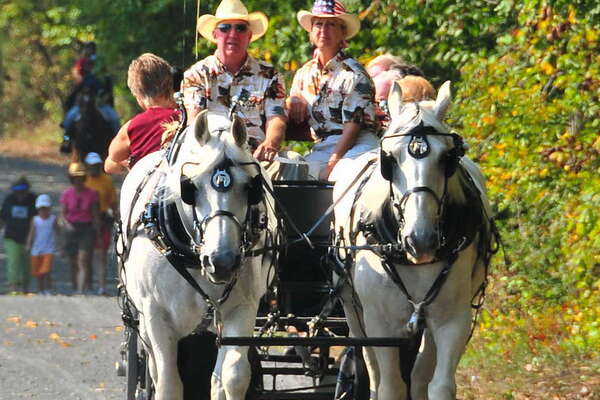 Carriage rides on open day (2009)