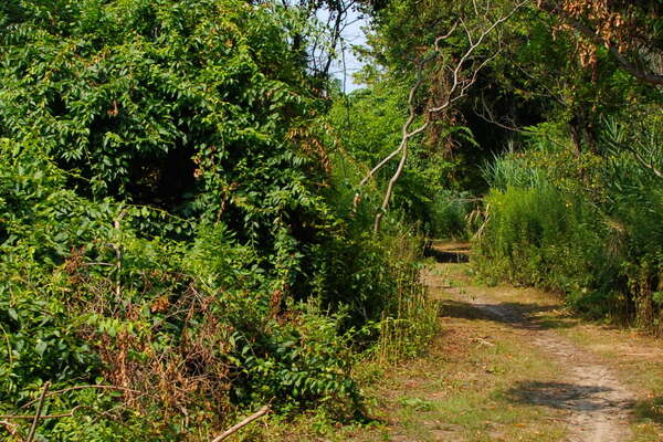 Fishermans Cove, Manasquan
