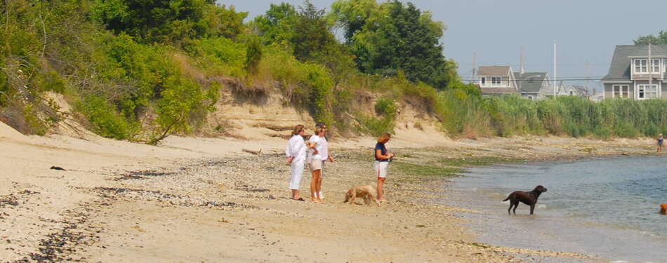 May 2015 Recap - New and Updated Locations, Groups, Galleries