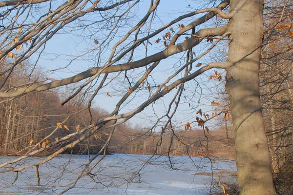 Davidson's Mill Pond