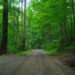 Photos Of: Teetertown Ravine, Hollow Brook Rd (Aug, 2014) - 08/04/2014