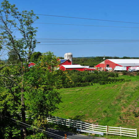 Scenic Ride on the Black River and Western Railroad (photos) - 09/27/2015