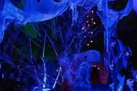 Halloween House Freehold