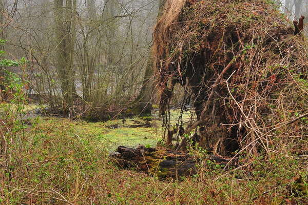 Did we step into the Neverending Story?