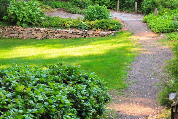 Frelinghuysen Arboretum - June 16th 2014