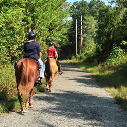 Featured Place: Union Transportation Trail