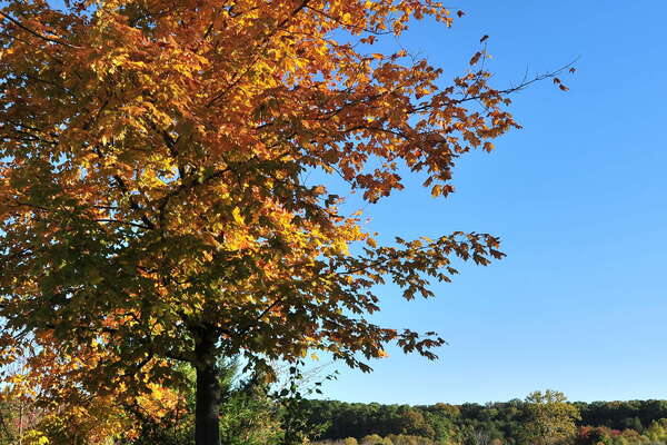 Fall in Crosswicks Creek Park