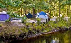 Surf & Stream Luxury RV Resort