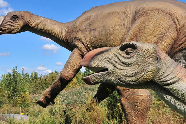 Field Station: Dinosaurs