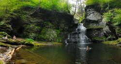 Adams Creek and Adams Falls