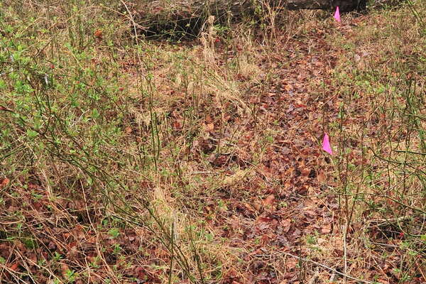 The new path, nicely marked out