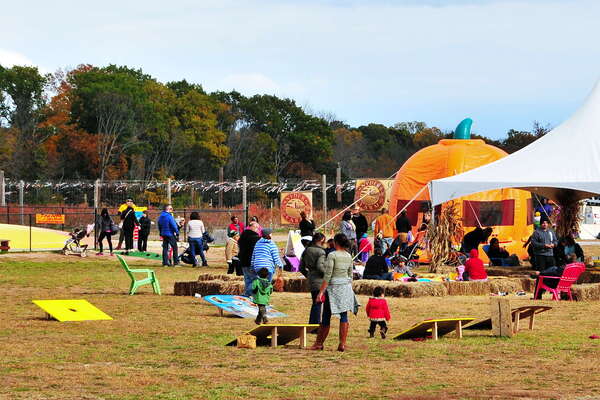 Snyders Farm Fall Festival - 2015