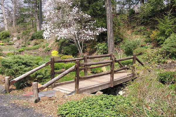 Laurelwood Arboretum