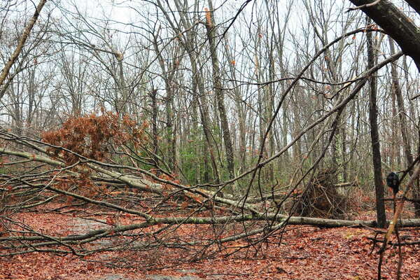 A big mess of the main access road - 4