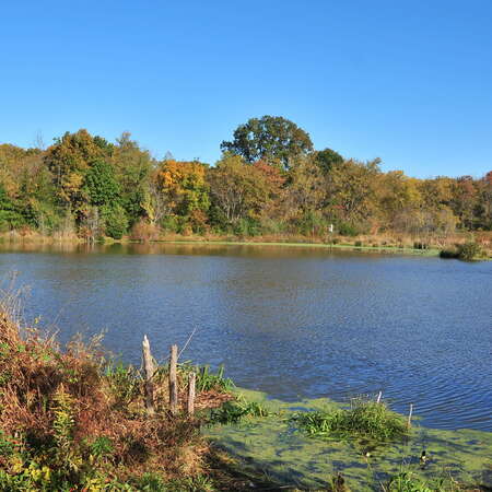 Crosswicks Creek Park