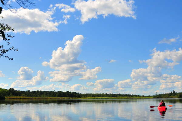 Looking across Forge Pond