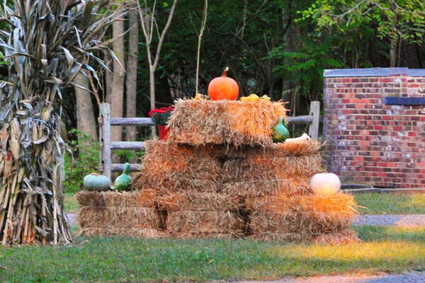 Halloween in Allire Village