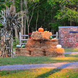 A Haunted Halloween in Allaire Village! (2013)