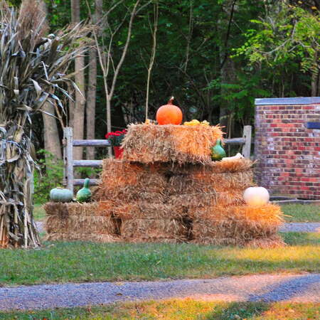 News To Us: Haunted Hayride at the Historic Village at Allaire (2013)