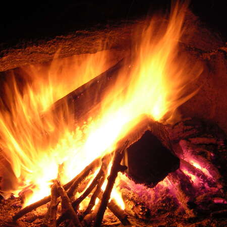 Photos Of: Seashore Campsites (2007) - 10/06/2013