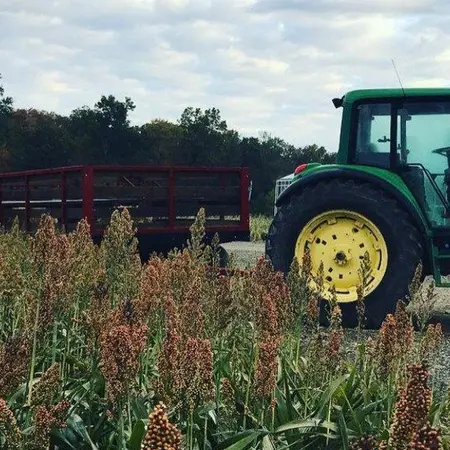 Secor Farms