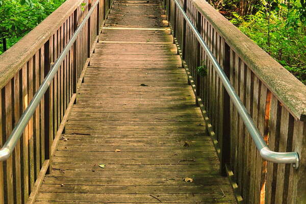 Frelinghuysen Arboretum - June 16th 2014