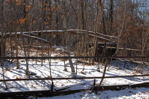 071206-099-jungle-habitat-nj.jpg