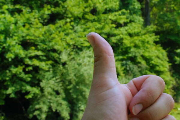 Thumbs up to Woodfield :)