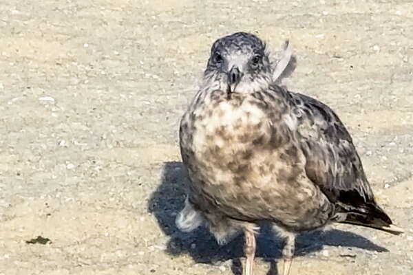 Point Pleasant Beach