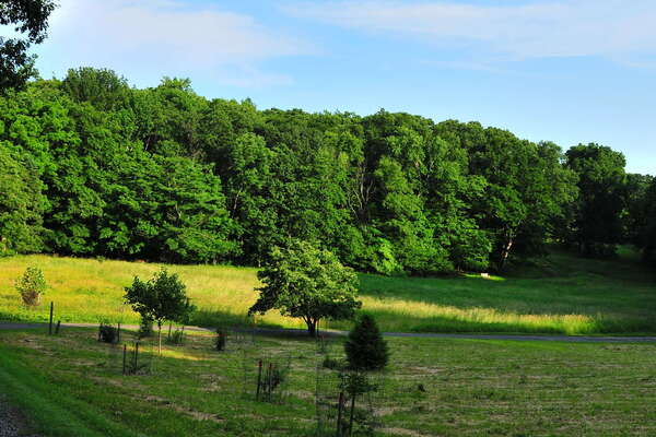 Frelinghuysen Arboretum - June 16th 2014