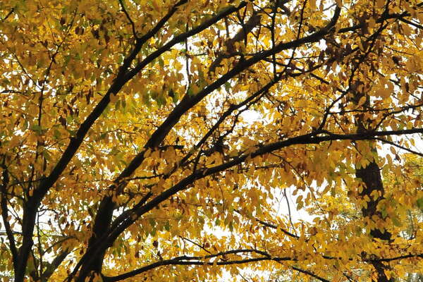 Trips For Kids NJ - Fall 2013 in Allaire State Park