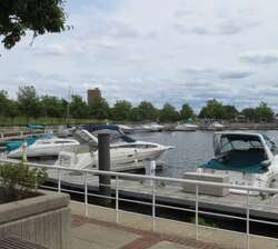 Wiggins Park Marina