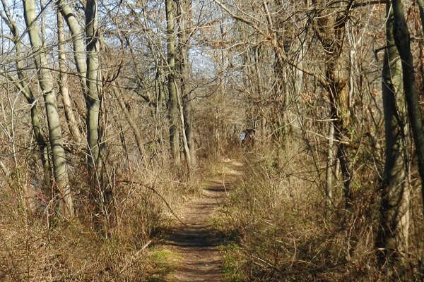 Duke Island Park Trails
