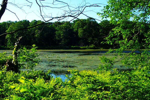 Allamuchy Mountain State Park