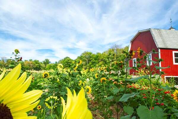 Longmeadow Farm